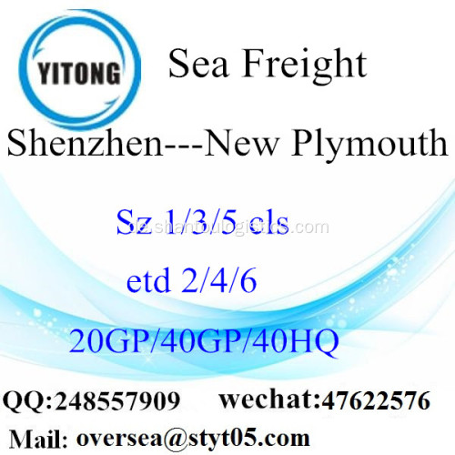 Shenzhen Port Seefracht Versand nach New Plymouth